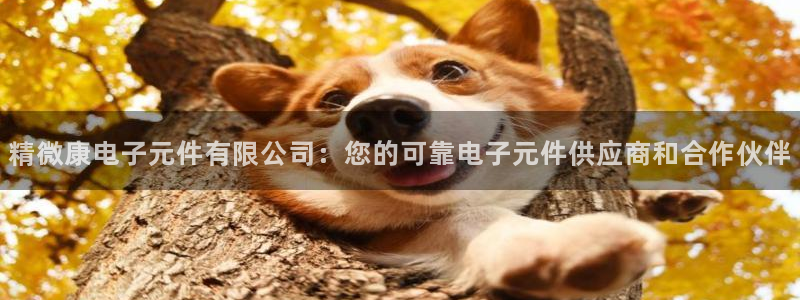 玩pg电子游戏哪个网站好点：精微康电子元件有限公司：您的可靠电子元件供应商和合作
