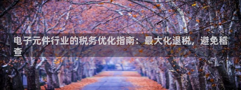 pg免费游戏试玩网页版麻将：电子元件行业的税务优化指南：最大化退税，避免稽
查