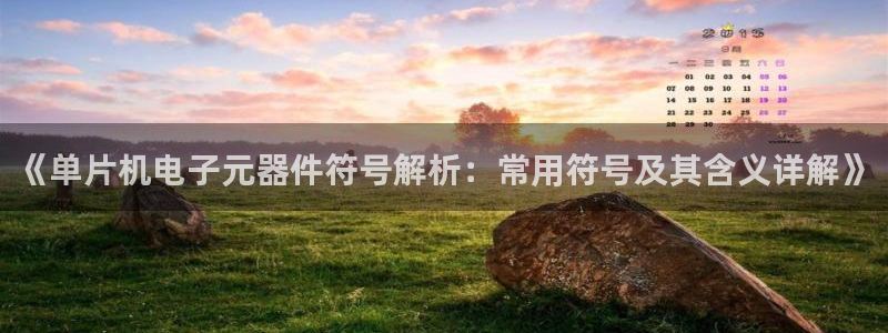 pg电子棋牌有哪些平台可以用的：《单片机电子元器件符号解析：常用符号及其含义详解
