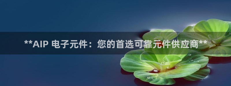 pg电子是什么时候出的：**AIP 电子元件：您的首选可靠元件供应商**