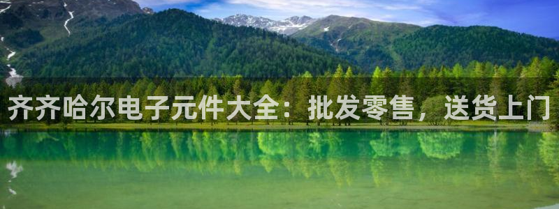 pg电子平台试玩体验怎么样：齐齐哈尔电子元件大全：批发零售，送货上门