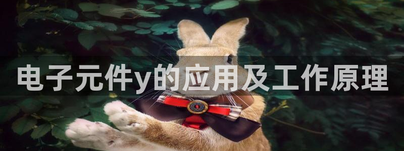 pg电子平台下载：电子元件y的应用及工作原理