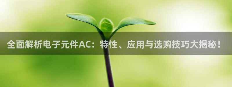 电子pg游戏官网有跳槽彩金版吗：全面解析电子元件AC：特性、应用与选购技巧大揭秘