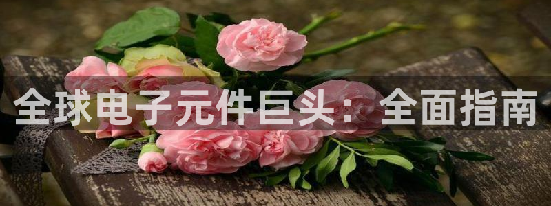 pg电子游戏模拟器在线试玩网站：全球电子元件巨头：全面指南