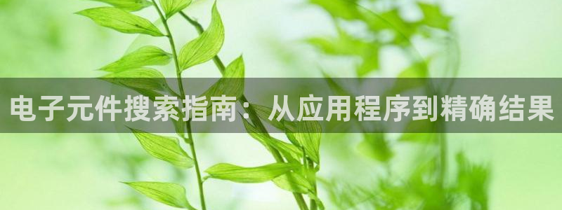 pg电子游戏模拟器免费网站：电子元件搜索指南：从应用程序到精确结果