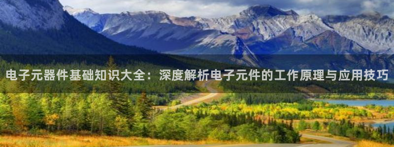 pg电子平台怎么样：电子元器件基础知识大全：深度解析电子元件的工作原理与应用技巧