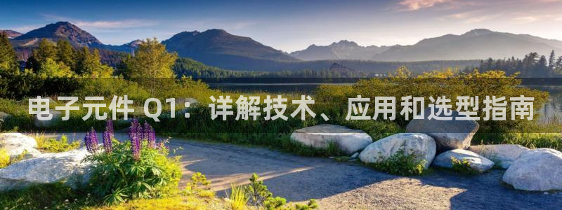 pg电子棋牌有哪些平台可以玩游戏：电子元件 Q1：详解技术、应用和选型指南