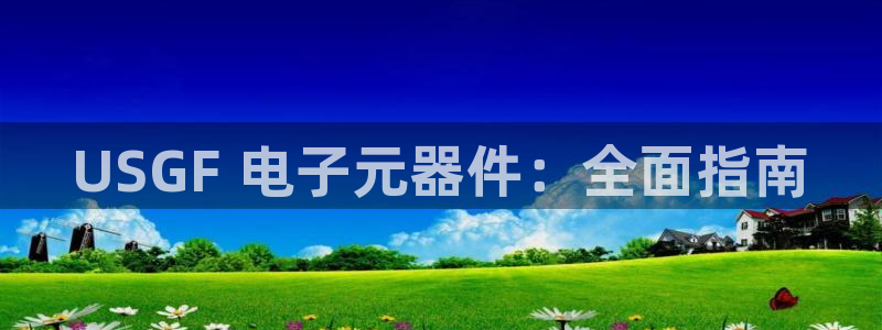 pg电子模拟器com：USGF 电子元器件：全面指南
