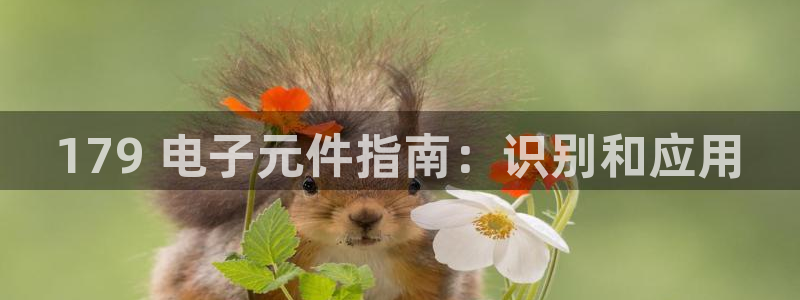 pg电子麻将胡了模拟器在线网页：179 电子元件指南：识别和应用