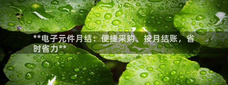 pg电子麻将胡了2超级巨奖图片：**电子元件月结：便捷采购、按月结账，省
时省力