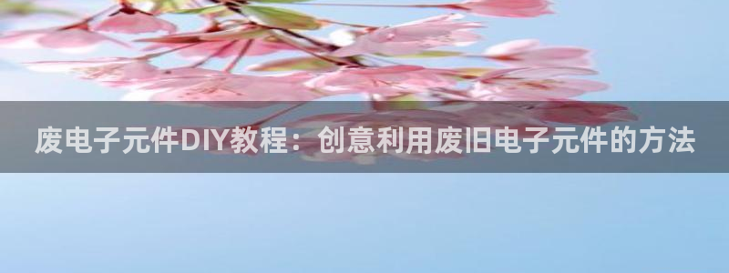 pg电子点杀：废电子元件DIY教程：创意利用废旧电子元件的方法
