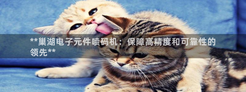 pg电子试玩版下载：**巢湖电子元件喷码机：保障高精度和可靠性的
领先**