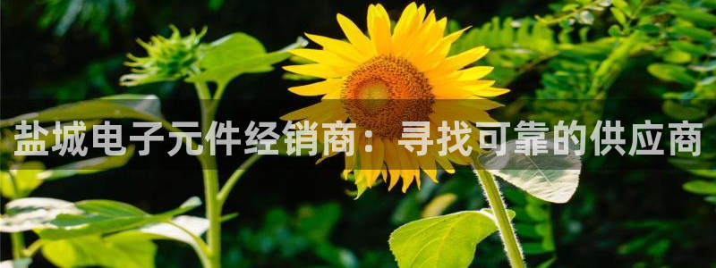 pg电子试玩入口官方网站：盐城电子元件经销商：寻找可靠的供应商