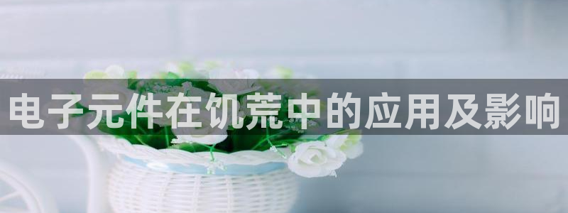 pg试玩网站：电子元件在饥荒中的应用及影响