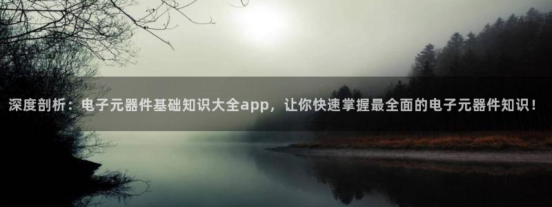 pg电子模拟器试玩电脑版：深度剖析：电子元器件基础知识大全app，让你快速掌握最
