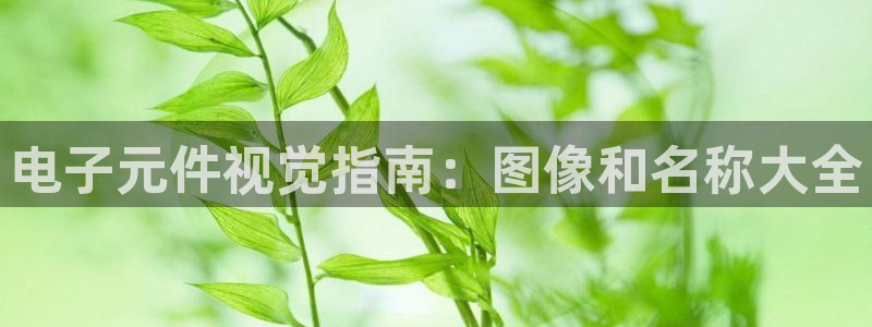 pg电子游戏辅助工具：电子元件视觉指南：图像和名称大全