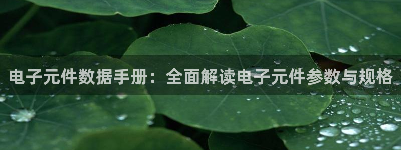 哪个平台可以试玩pg：电子元件数据手册：全面解读电子元件参数与规格