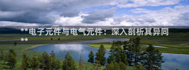 pg电子cm：**电子元件与电气元件：深入剖析其异同
**