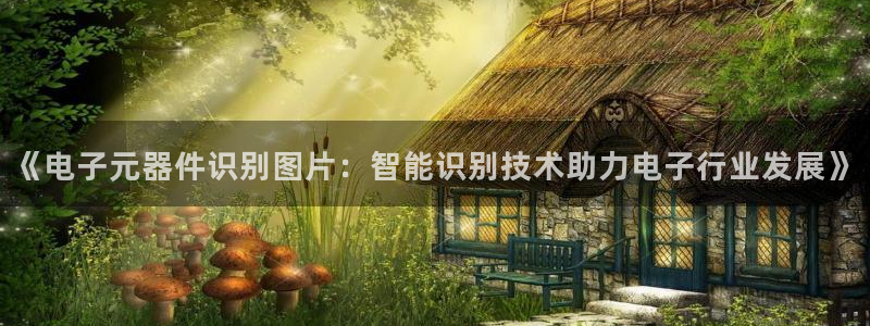 可以试玩pg电子的网站：《电子元器件识别图片：智能识别技术助力电子行业发展》