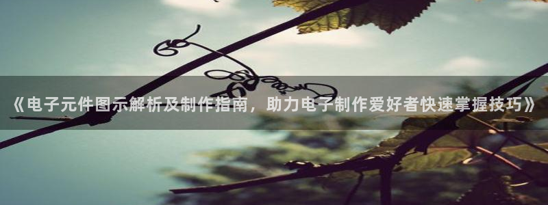 pg电子试玩模式网址 - pg电子试玩模式网址：《电子元件图示解析及制作指南，助