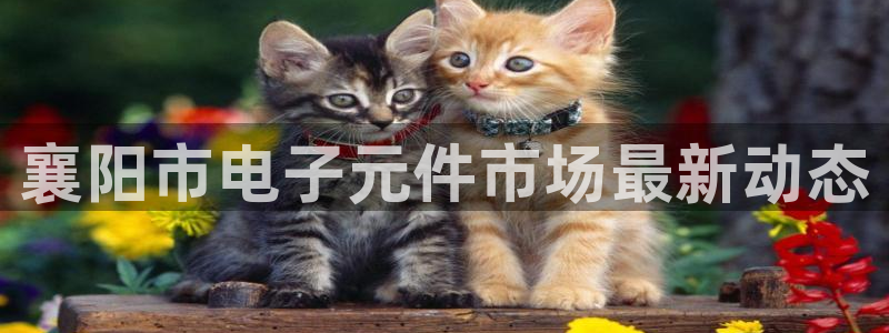 pg电子试玩教程视频大全：襄阳市电子元件市场最新动态