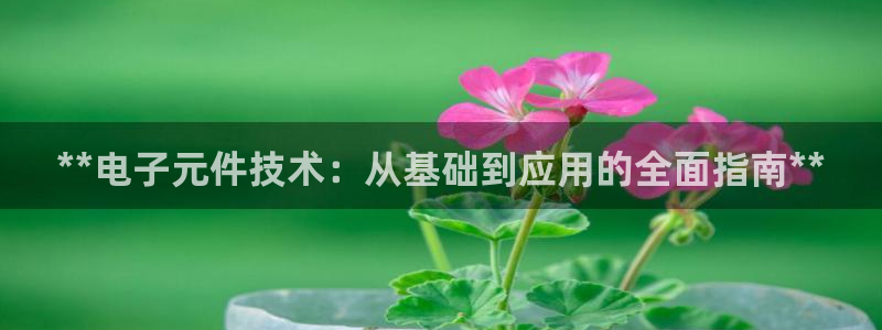 pg电子模拟器和真实一样吗安卓：**电子元件技术：从基础到应用的全面指南**