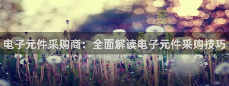 pg电子游戏平台网址：电子元件采购商：全面解读电子元件采购技巧