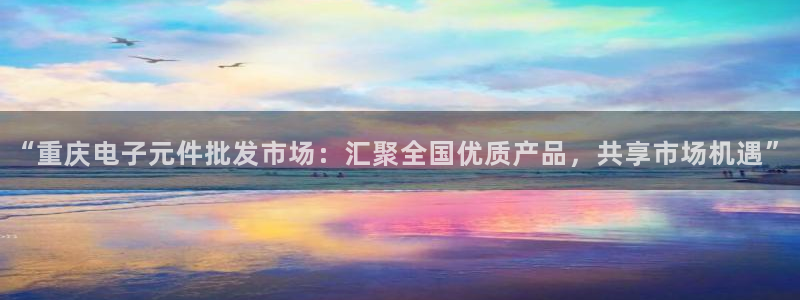 试玩pg电子：“重庆电子元件批发市场：汇聚全国优质产品，共享市场机遇”