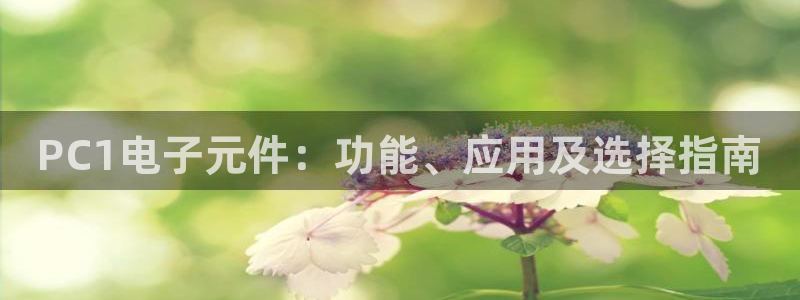 大好玩棋牌官方网站入口pg：PC1电子元件：功能、应用及选择指南