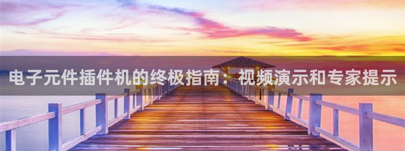 pg电子模拟器安卓版：电子元件插件机的终极指南：视频演示和专家提示