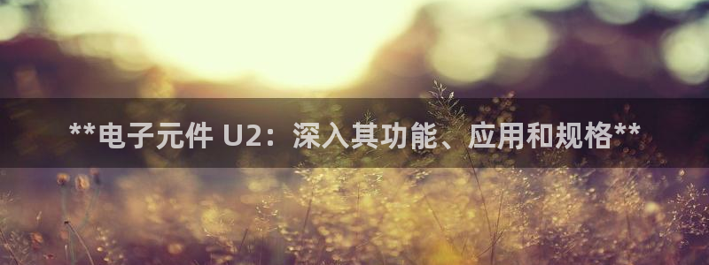 PG电子旗舰站：**电子元件 U2：深入其功能、应用和规格**