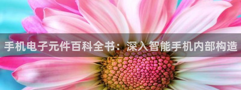 pg官方电子平台是什么：手机电子元件百科全书：深入智能手机内部构造