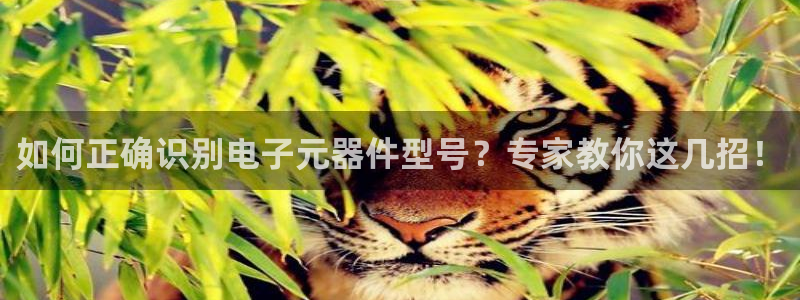 pg电子单机版：如何正确识别电子元器件型号？专家教你这几招！