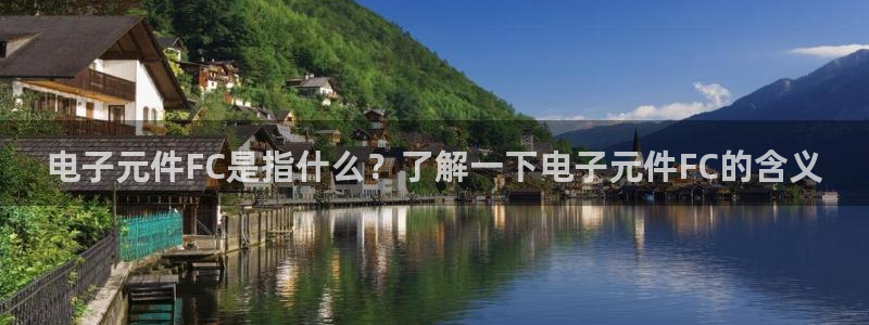 pg电子平台官方网址是多少：电子元件FC是指什么？了解一下电子元件FC的含义