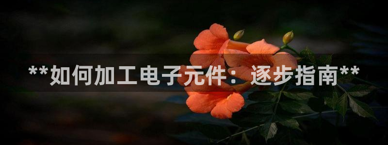pg电子模拟器在线玩免费网页版：**如何加工电子元件：逐步指南**