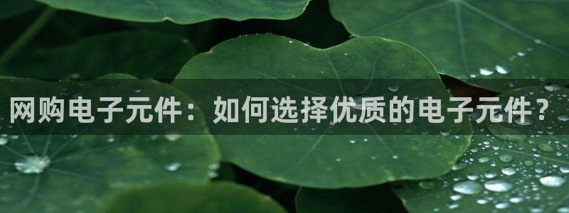 pg电子图片：网购电子元件：如何选择优质的电子元件？