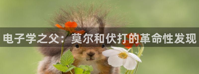 pg电子是什么公司：电子学之父：莫尔和伏打的革命性发现