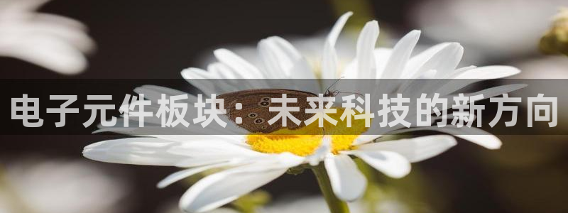 pg电子模拟器中文版