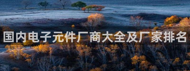pg电子麻将胡了官方：国内电子元件厂商大全及厂家排名