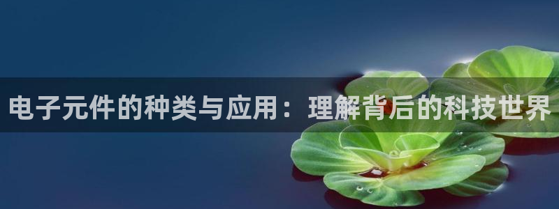 PG电子模拟器官方活动公告：电子元件的种类与应用：理解背后的科技世界