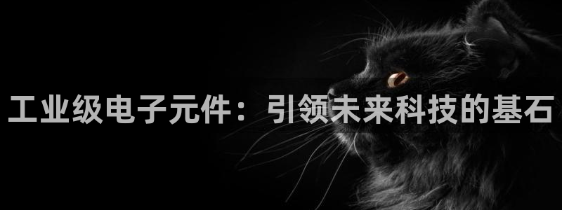 pg电子游戏体验版官网：工业级电子元件：引领未来科技的基石