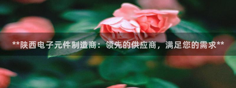pg电子游戏平台资源：**陕西电子元件制造商：领先的供应商，满足您的需求**