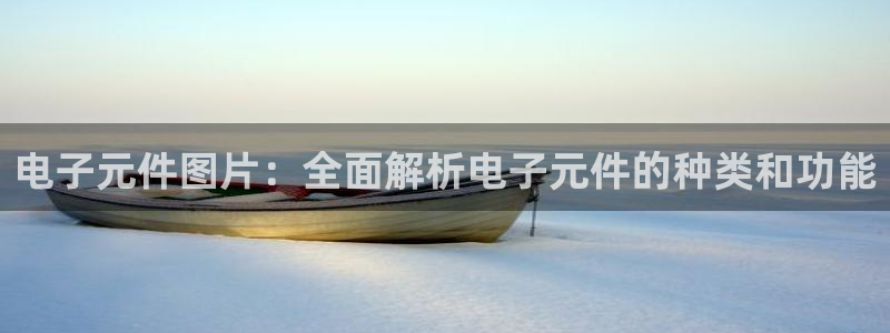 pg电子游戏官方网站：电子元件图片：全面解析电子元件的种类和功能