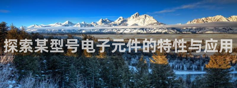 pg电子体验试玩：探索某型号电子元件的特性与应用