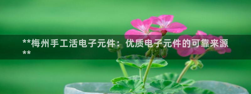 PG电子模拟器最新版本：**梅州手工活电子元件：优质电子元件的可靠来源
**