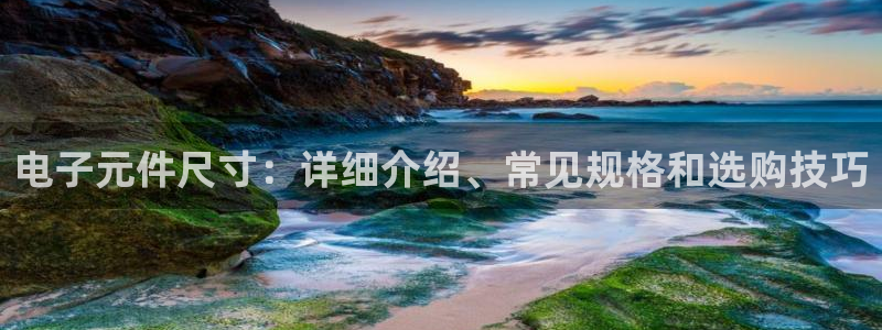 PG电子模拟器网页版：电子元件尺寸：详细介绍、常见规格和选购技巧