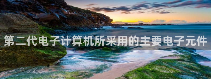 pg电子娱乐平台：第二代电子计算机所采用的主要电子元件