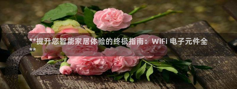 pg电子游戏apo：**提升您智能家居体验的终极指南：WiFi 电子元件全
**